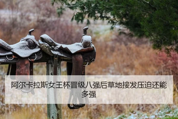 a-er-ka-la-si-nv-wang-bei-jin-ji-ba-qiang-hou-cao-di-jie-fa-ya-po-hai-neng-duo-qiang-2-177.jpg
