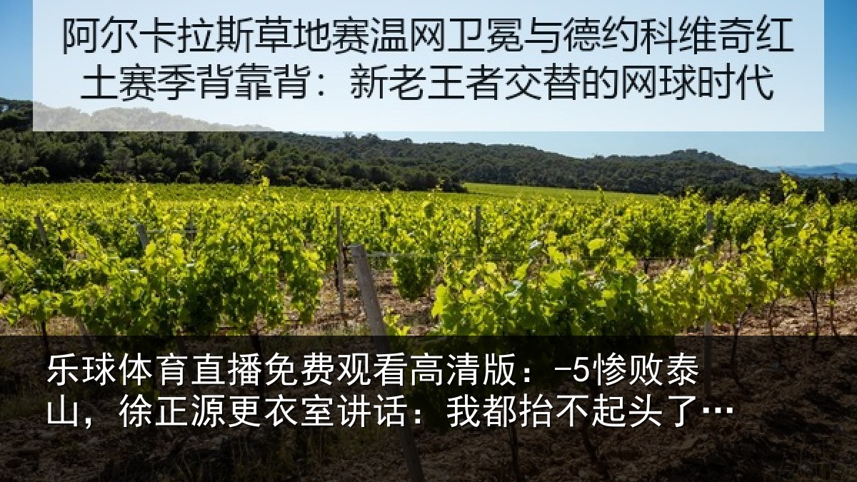 乐球体育直播免费观看高清版：-5惨败相关情况讲话相关情况丢人了